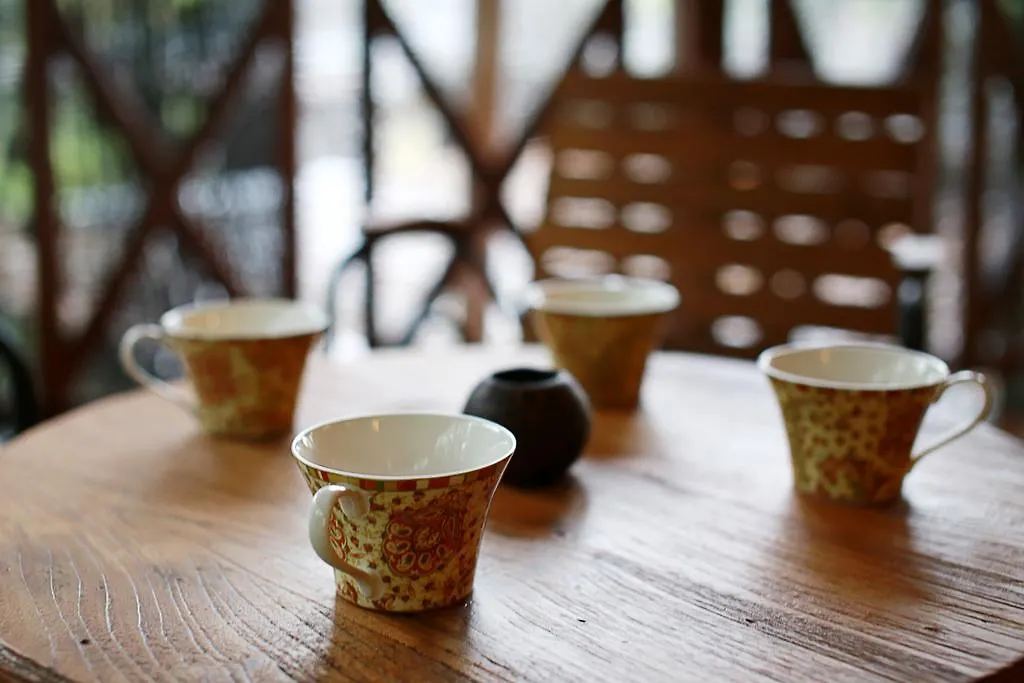 Danaya'S Villa Ubud
